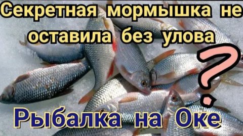 Рыбалка на безмотылку, мормышка от которой плотва чумеет