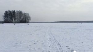 Рефтинское водохранилище рыбалка. Холодный канал и за островами .