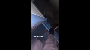 Нападение бешеной лисы