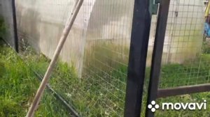 Жизнь в Деревне