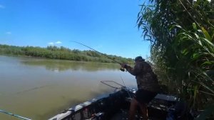 В ЭТОЙ ЯМЕ РЫБЫ МНОГО. ЖОР СОМА НА САРАНЧУ. Рыбалка на сазана. Ловля на жмых и с