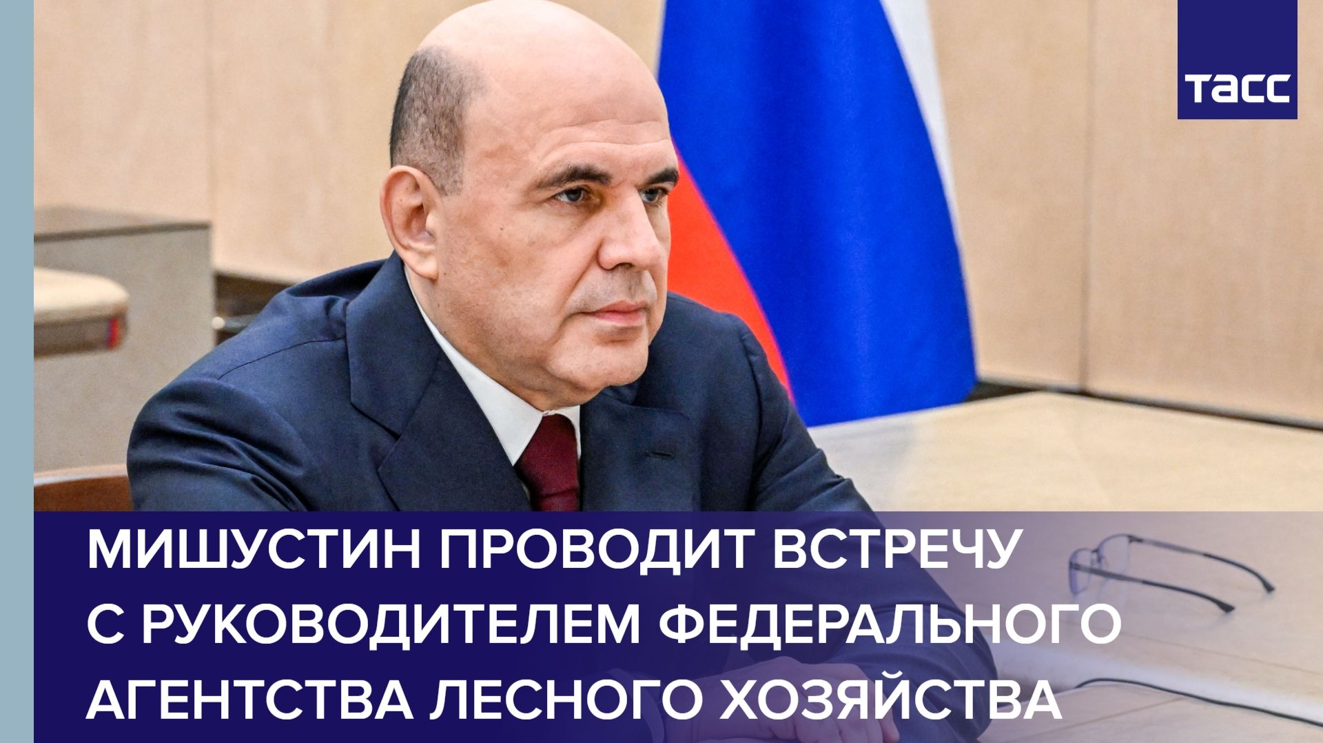 Мишустин проводит встречу с руководителем Федерального агентства лесного хозяйства