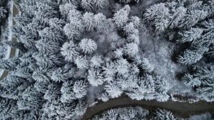 4 декабря - Мощный день. Не пропустите магию зимы.