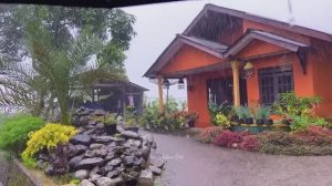 ПРОГУЛКА ПОД ЛИВНЕМ В ИНДОНЕЗИЙСКОЙ ДЕРЕВНЕ. ОСВЕЖАЮЩИЕ ЗВУКИ ДОЖДЯ ДЛЯ СНА