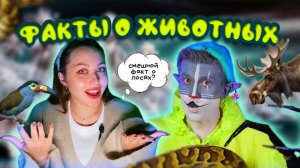 КОТ УЧЁНЫЙ | ФАКТЫ О ЖИВОТНЫХ
