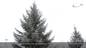 Новости "360 Ангарск" выпуск от 03.12.2025