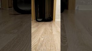 Ночный игры