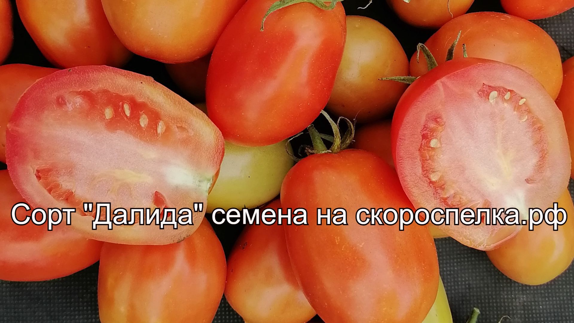 "Далида" поразительный сорт томата. Семена у нас сайте скороспелка.рф.
