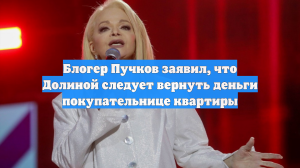 Блогер Пучков заявил, что Долиной следует вернуть деньги покупательнице квартиры