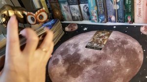 Бумеранг врагу. Как прошла чистка ?