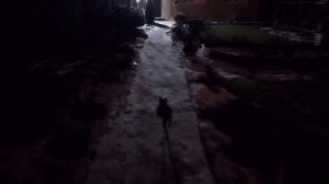 Влог:Вечер 3.12.25 г., все по немногу!