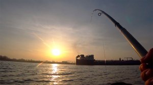 ПОПАЛ НА ЖОР САЗАНА !! ДОН