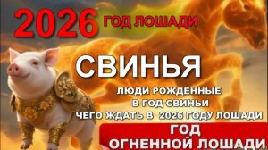 ГОРОСКОП на 2026 ДЛЯ РОЖДЕННЫХ В ГОД #СВИНЬИ  #1923 #1935 #1947 #1959 #1971 #1983 #1995 #2007 #2019