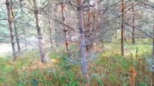 Выходные на Валдае.Субботнее утро