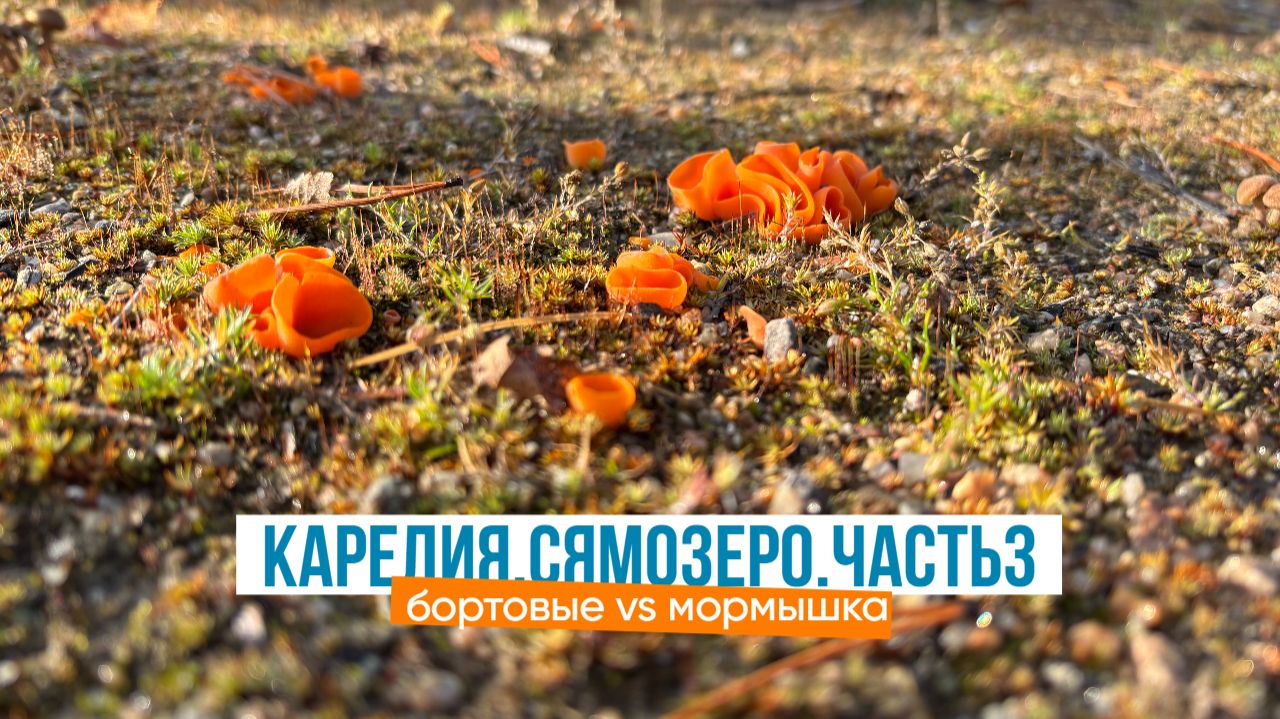 Невероятно богатый улов на Сямозере: бортовые vs мормышка!