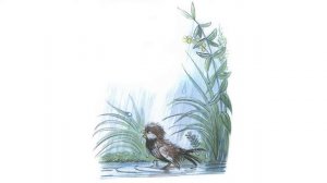 АудиоСказка «Под грибом» Владимир Сутеев (с картинками)