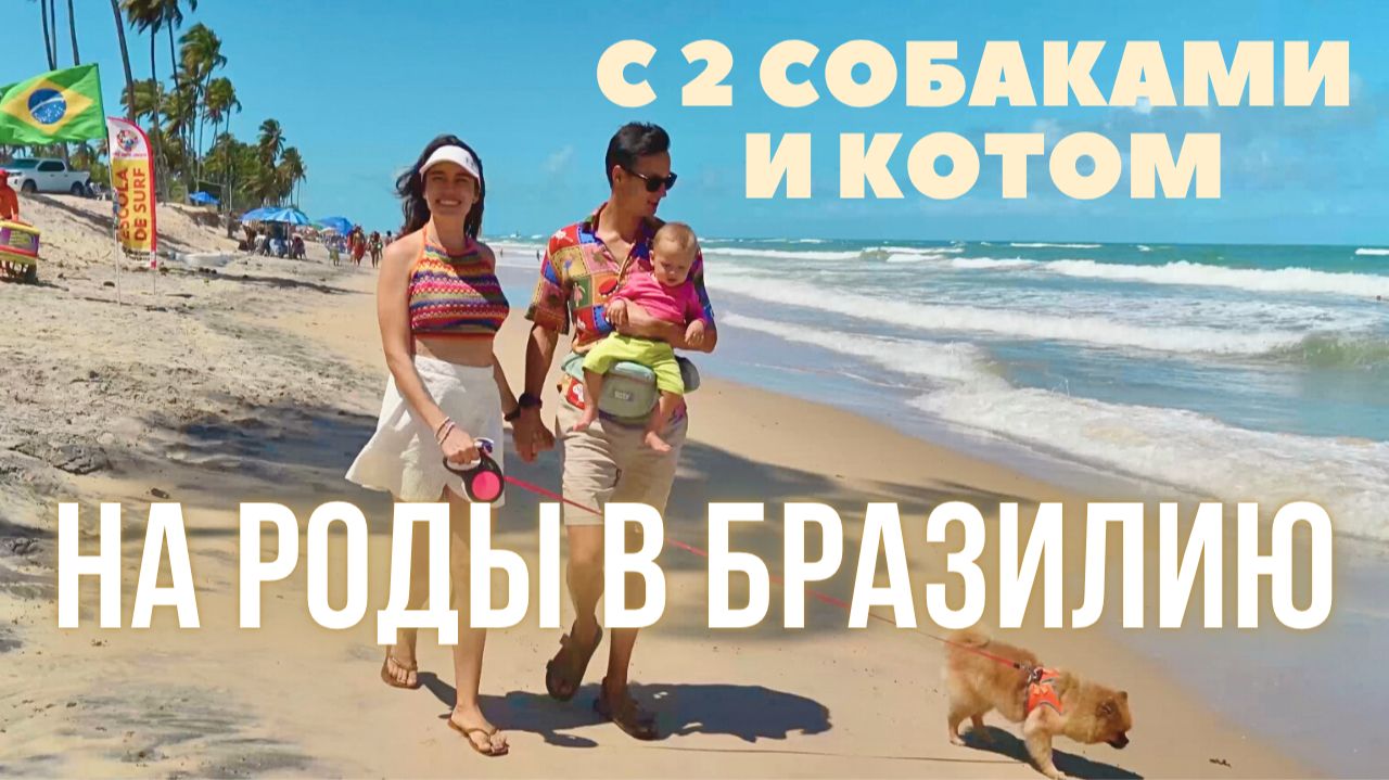 Переезд в Бразилию с животными и рождение ребёнка: наш опыт