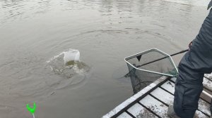 Основной водоём. Дуплет.