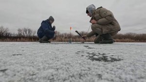 Трофейные щуки на жерлицы,это ЖЕЕЕСТЬ.#fishing #рыбалка #щука