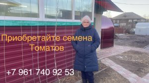 Сибирская зима без снега. Хакасия. Приобретайте лучшие сорта томатов!