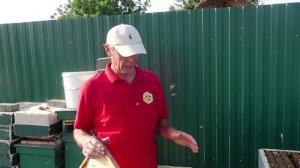 работа на пасеке продолжается