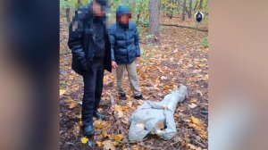 От судимости к судимости