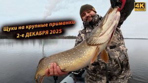 Зимние ТОЛСТЫЕ ЩУКИ любят КРУПНУЮ РЕЗИНУ - Рыбалка в декабре 2025