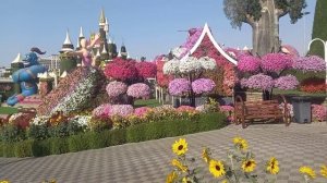 Страна ОАЭ город Фуджейра в ноябре 2025 года, часть 2.