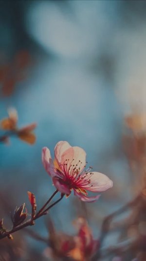 Как плавно падал твой платок