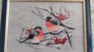 На рябине снегири,Овен1522.