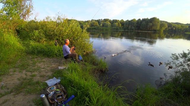 Рыбалка с фидером в Дубах ⎮VLOG 071