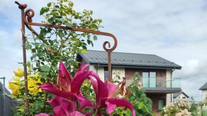 На пустоши растим сад три года. Как было, видео с мая 2022 по январь 2024