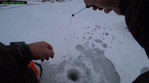 Рыбалка 30 ноября.2 часа на карьере.