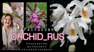 Мой самый масштабный ОРХО-ШОПИНГ. Новый уровень!