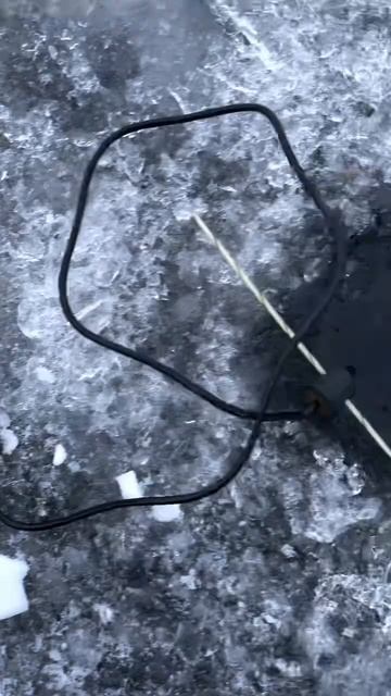 Эхолот и улов в феврале