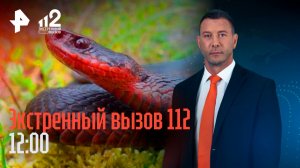 Убийца зарубил племянника топориком / Кошка спасла от ядовитой змеи / Экстренный вызов 112