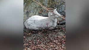 ФАКТЫ. Выпуск от 03.12.2025