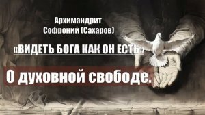 Архимандрит Софроний (Сахаров) - ВИДЕТЬ БОГА КАК ОН ЕСТЬ. Глава 9. О духовной св