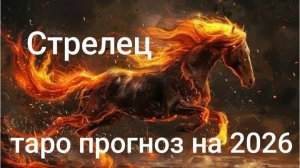 Таро прогноз для Стрельцов на 2026 год