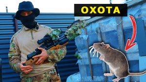 ОХОТА на КРЫС с ПНЕВМАТИКОЙ