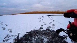 Неожиданный УДАР, и СРАЗУ БОРЬБА!! Ушёл в НЕТРОНУТЫЕ МЕСТА!! Ловля ЩУКИ на БАЛАНСИР!!