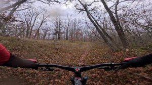 трейл Натурель - Каменный (Виноградное / Алушта) / 30.11.25