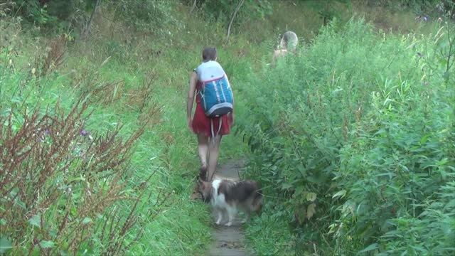 Луцино прогулка 6.08.2022