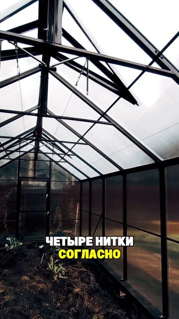 ВЫСОКИЕ СТЕНЫ И ТЕПЛИЦА ДОМИКОМ. ВЫБОР ТЕПЛИЦЫ ДВУХСКАТНАЯ смотреть онлайн