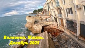 Жесть! Волконка в декабре 2025.