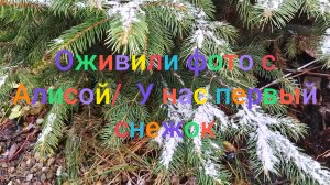 Оживи фотографии с Алисой/ У нас первый снежок