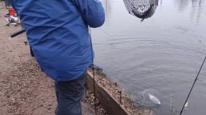 video5296652191682036129