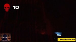 Пока мы спали они охраняли наш сон