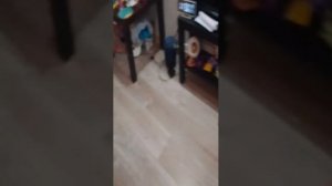 кто живет у меня дома