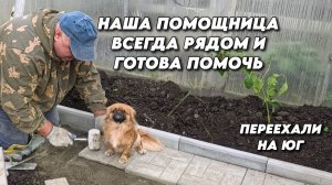 1037 Жизнь на Кубани/Дорожки в сад своими руками/Реальные истории